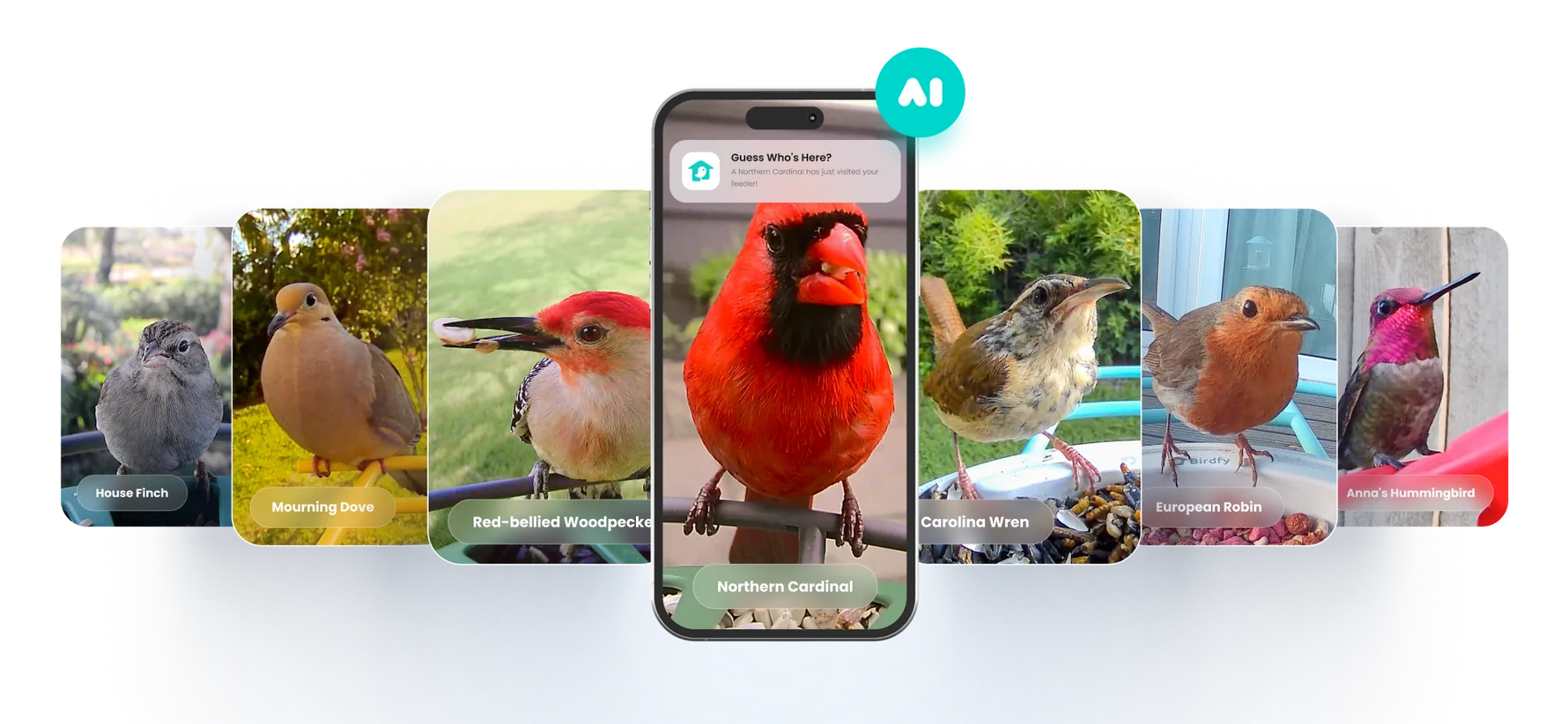 BirdfyのAI識別画面