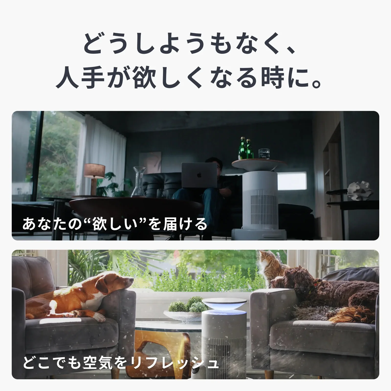 SwitchBot K20+ Proの運搬と空気清浄機の使用例